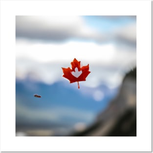 Maple Leaf Falling Posters and Art